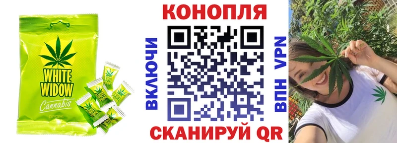 купить   Мышкин  Canna-Cookies марихуана 