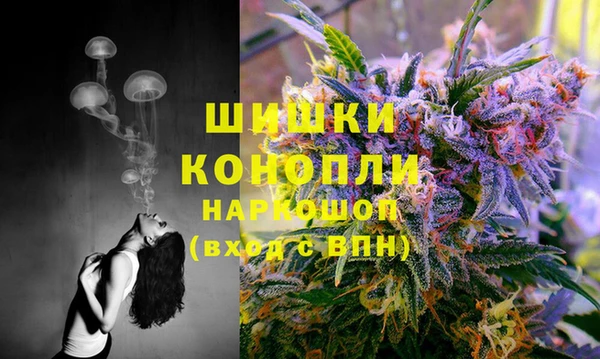 скорость Богданович